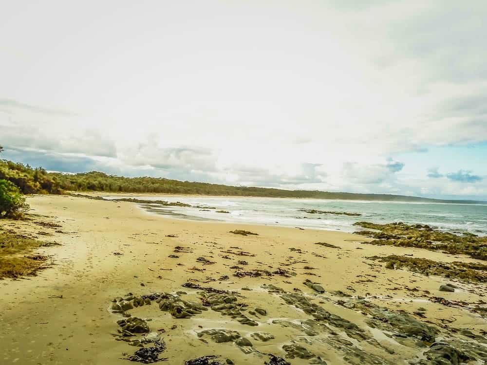 a rocky beach with vegetation at Cape Conron