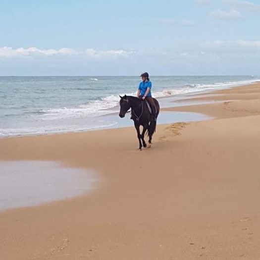 A young girl horse riding in Gippsland on a beach. The brown horse is looking out towards the ocean and the rider is too. It is nice and calm on the beach