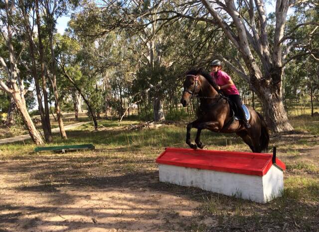 A young girls taking her horse for a ride through the Aussie bush and jumping over a low lying red and white jump. The horse has it's front legs up and the girl is leaning forward