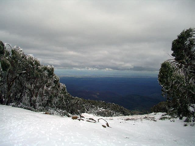 Mount Baw Bar skiing with kids in Gippsland