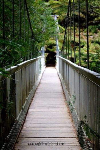 24597011645 81e27befa4 z