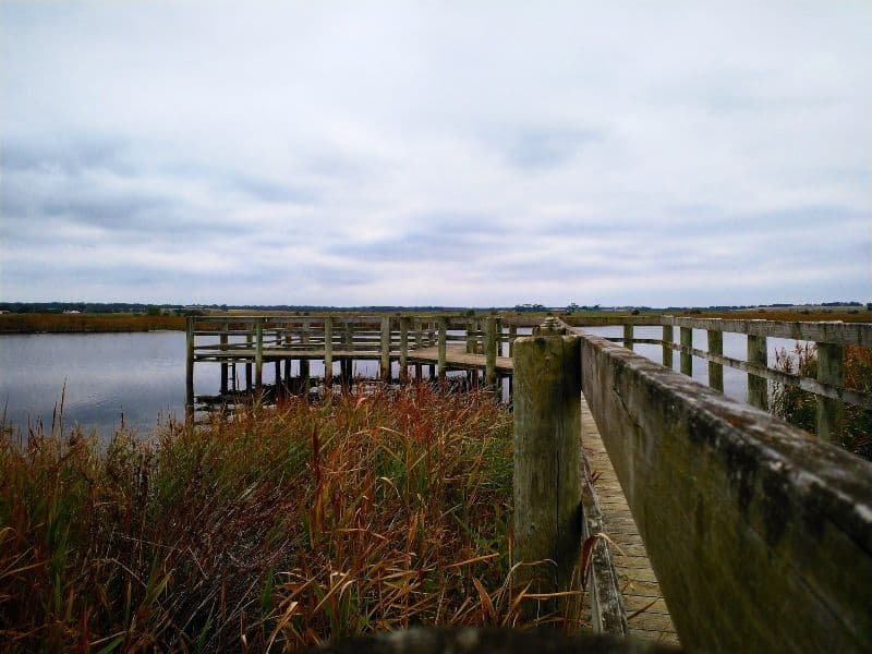fishing jetty on the Merrimans Creek at Seaspray in Gippsland Australia