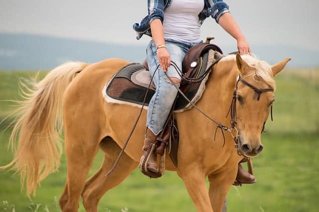 A golden coloured horse making a turn with a rider on the top. You can see the green grass and some mountains behind them.
