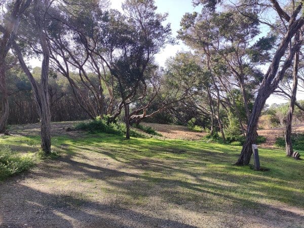 Golden Beach Camping