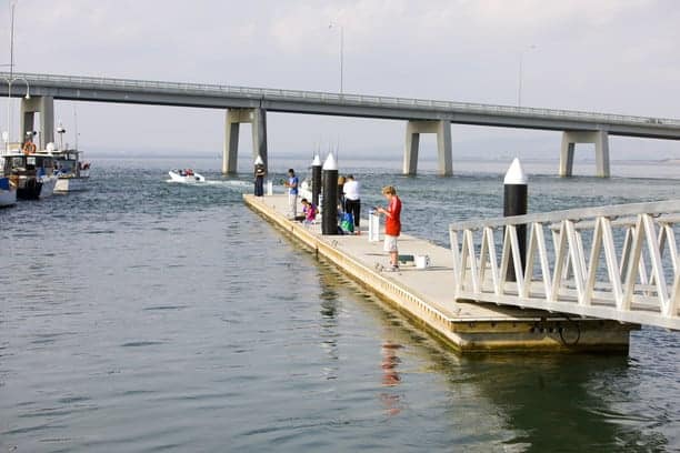 people standing on a jetty fishing and looking at fish