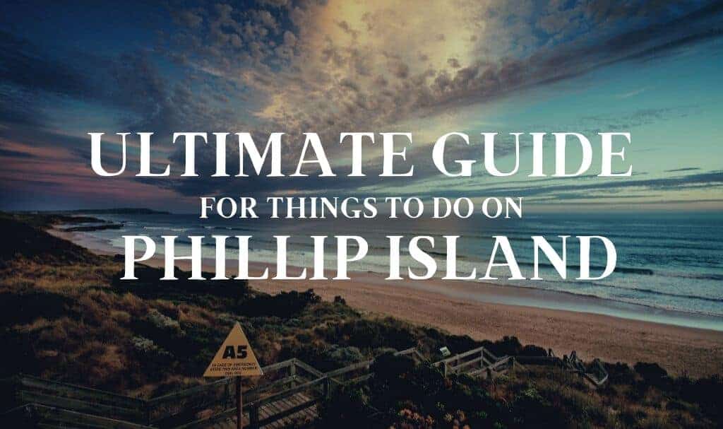 Ultimate guide Phillip island