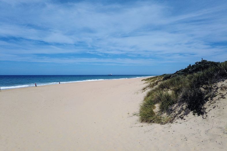 white sand beach with dunes and ocean in Lakes Entrance