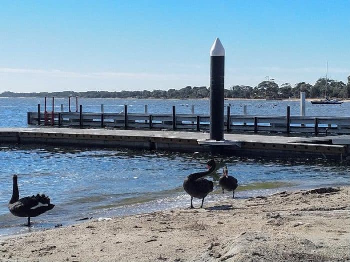 Loch Sport foreshore