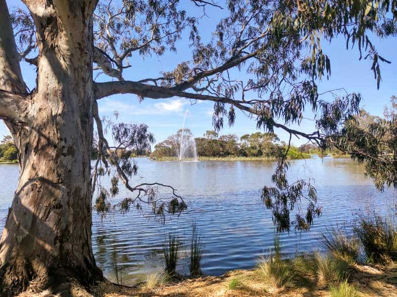 A walk around Lake Guthride is one of the best things to do in Sale