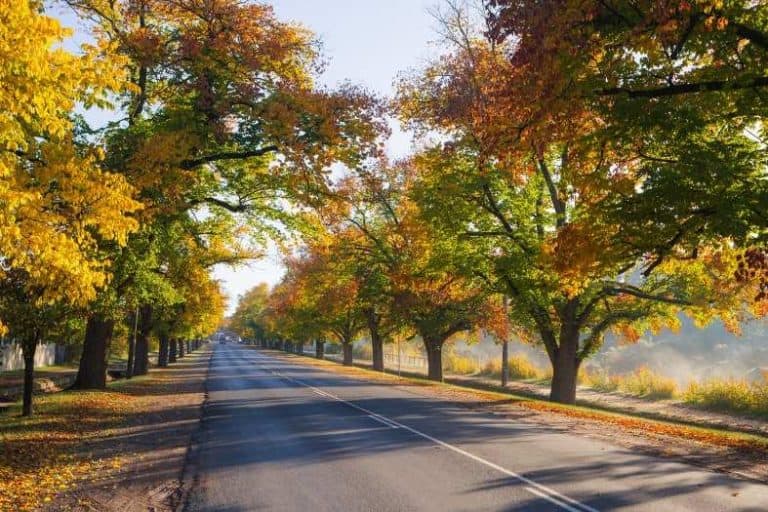All the best things to do in Bright weekend itinerary Explore Victoria